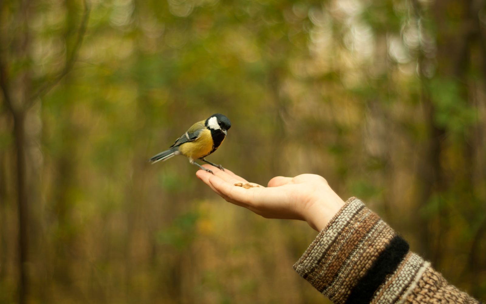Tomando notas con confianza