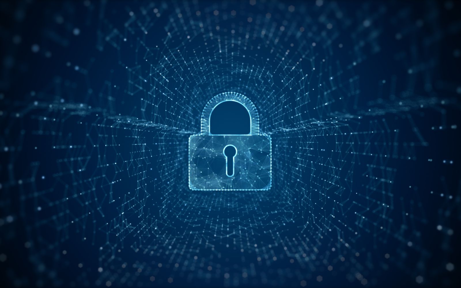 Escudo que representa privacidad